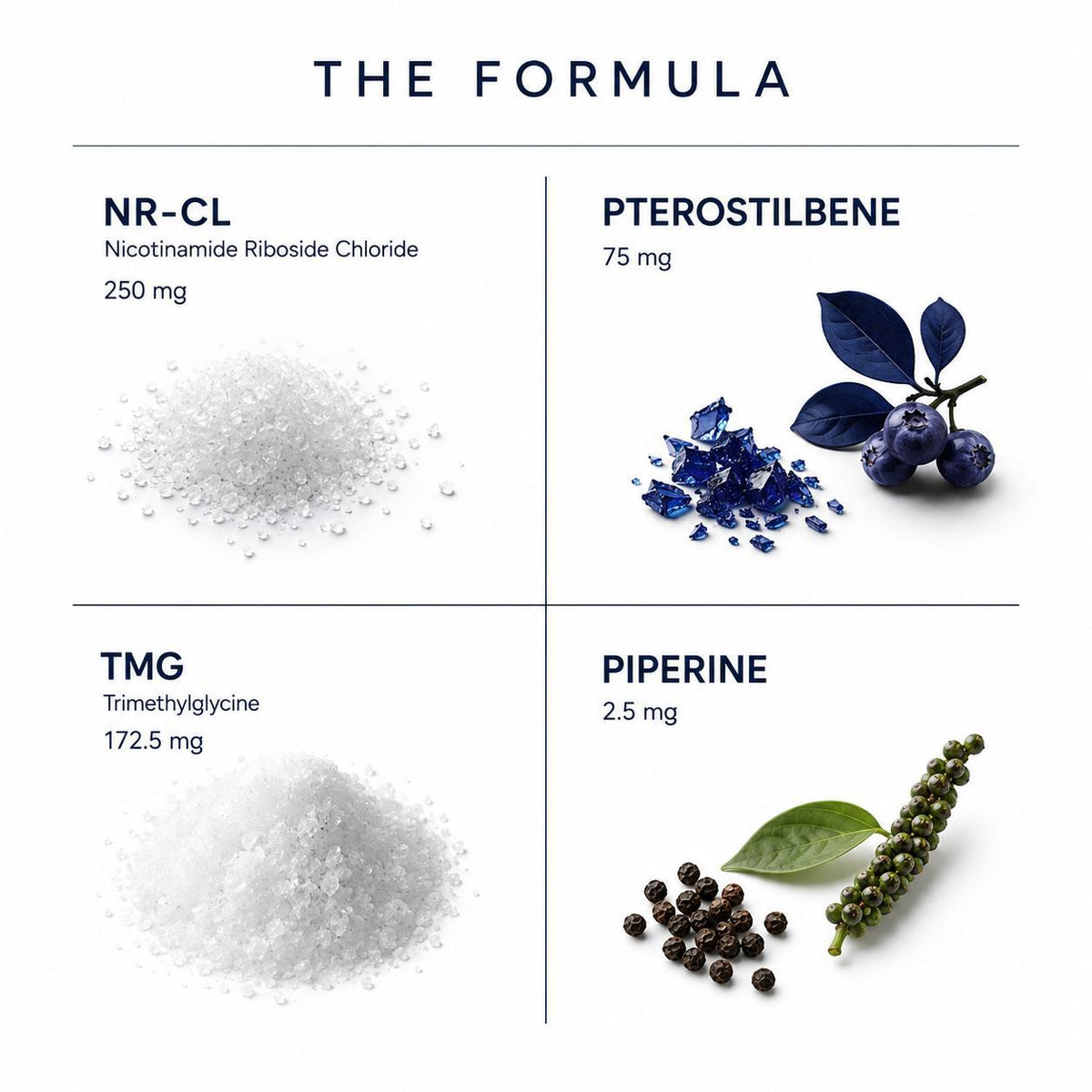 Longevity+ (30 Capsules)