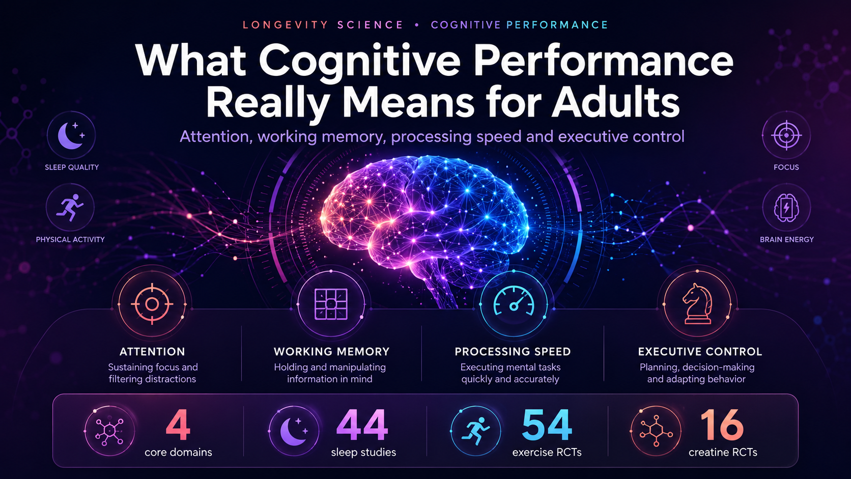 What Cognitive Performance Really Means for Adults: Attention, Working Memory, Processing Speed and Executive Control