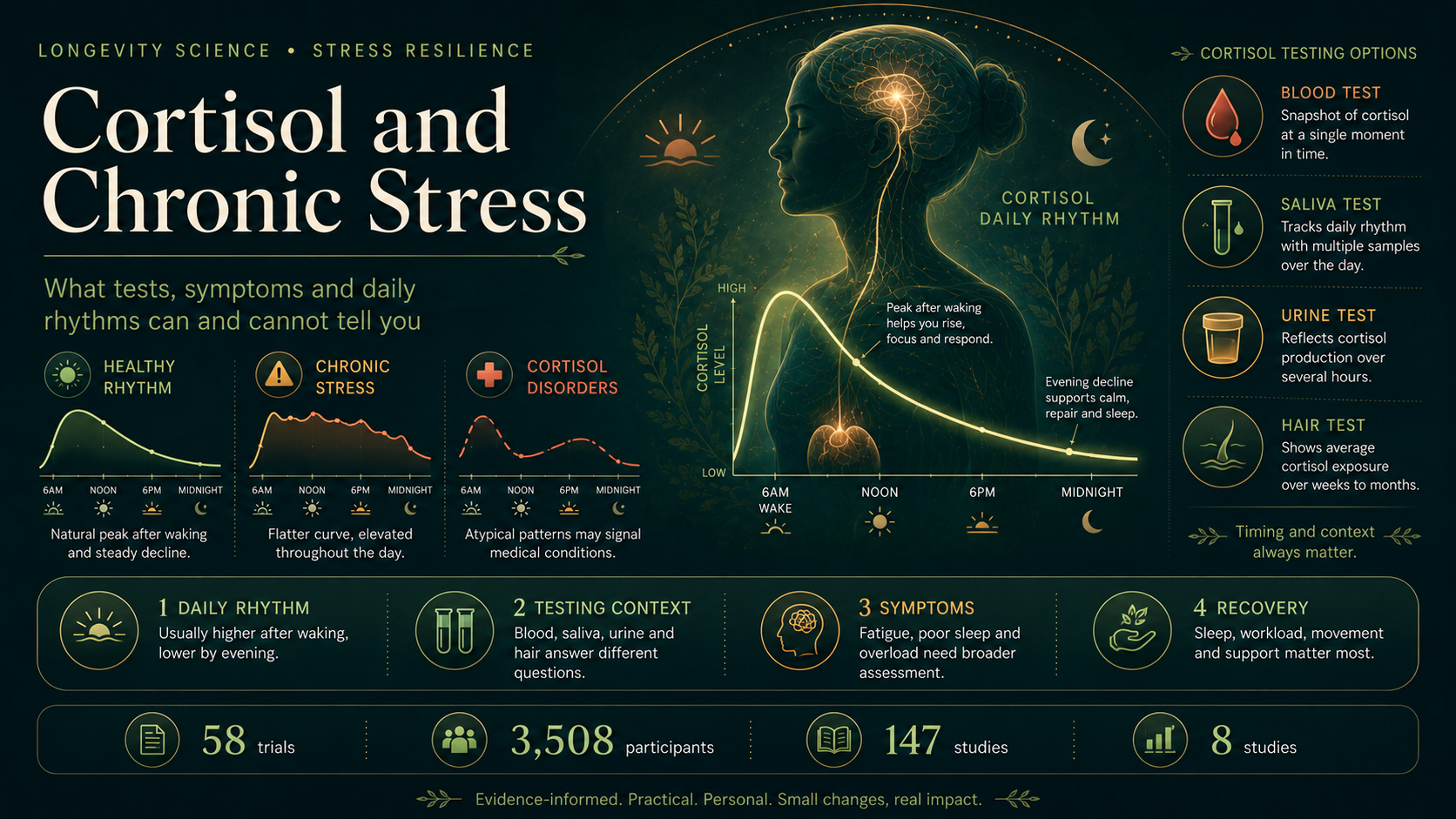 Cortisol and Chronic Stress: What Tests, Symptoms and Daily Rhythms Can and Cannot Tell You