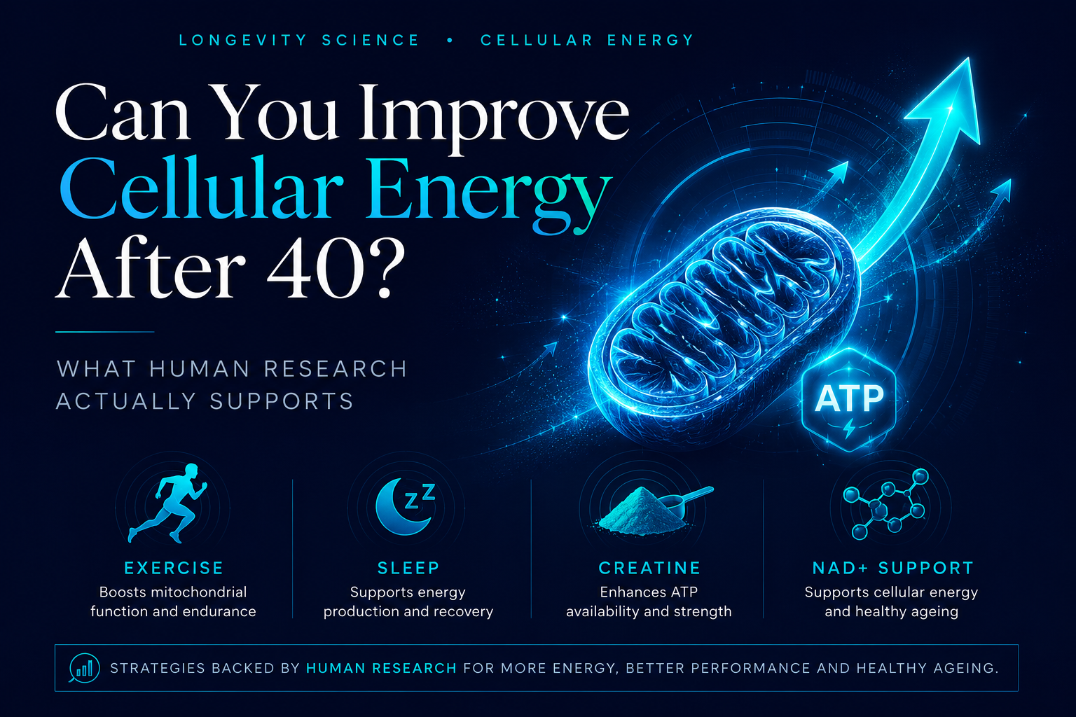Can You Improve Cellular Energy After 40? What Human Research Actually Supports