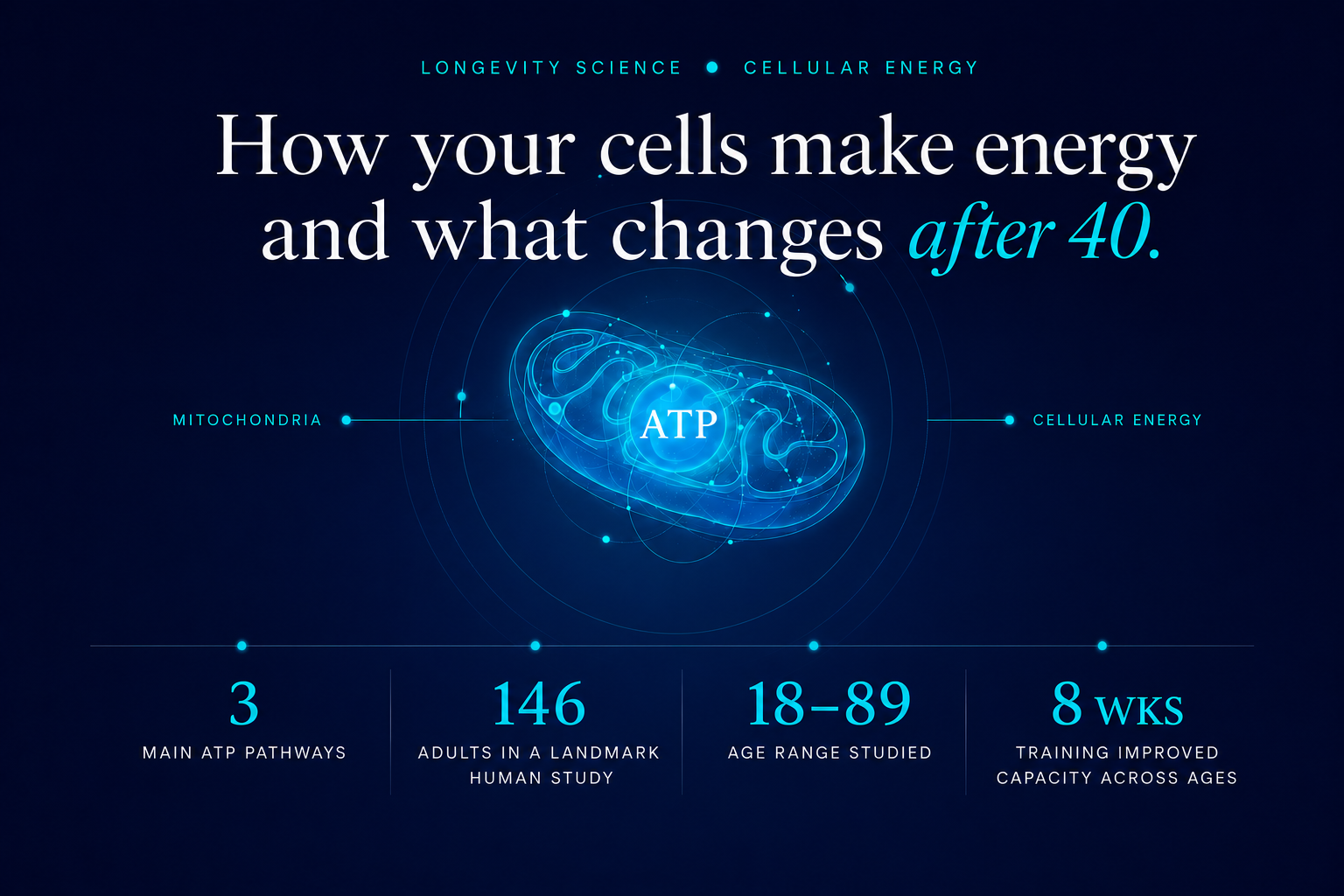 How Your Cells Make Energy: ATP, Mitochondria and What Changes After 40