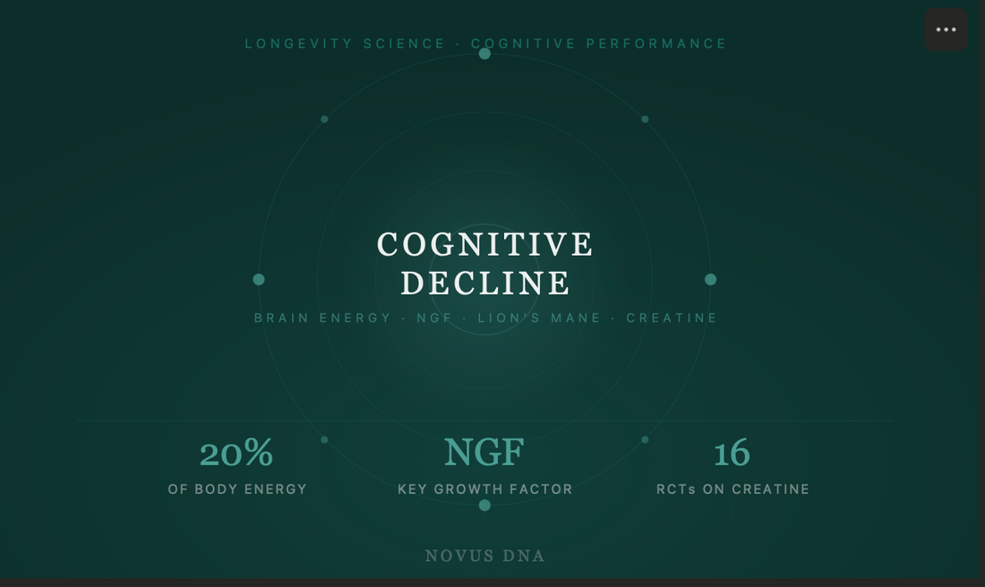 Why Your Brain Slows With Age