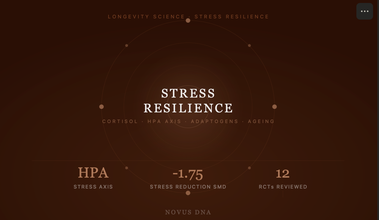 Why Chronic Stress Ages You Faster