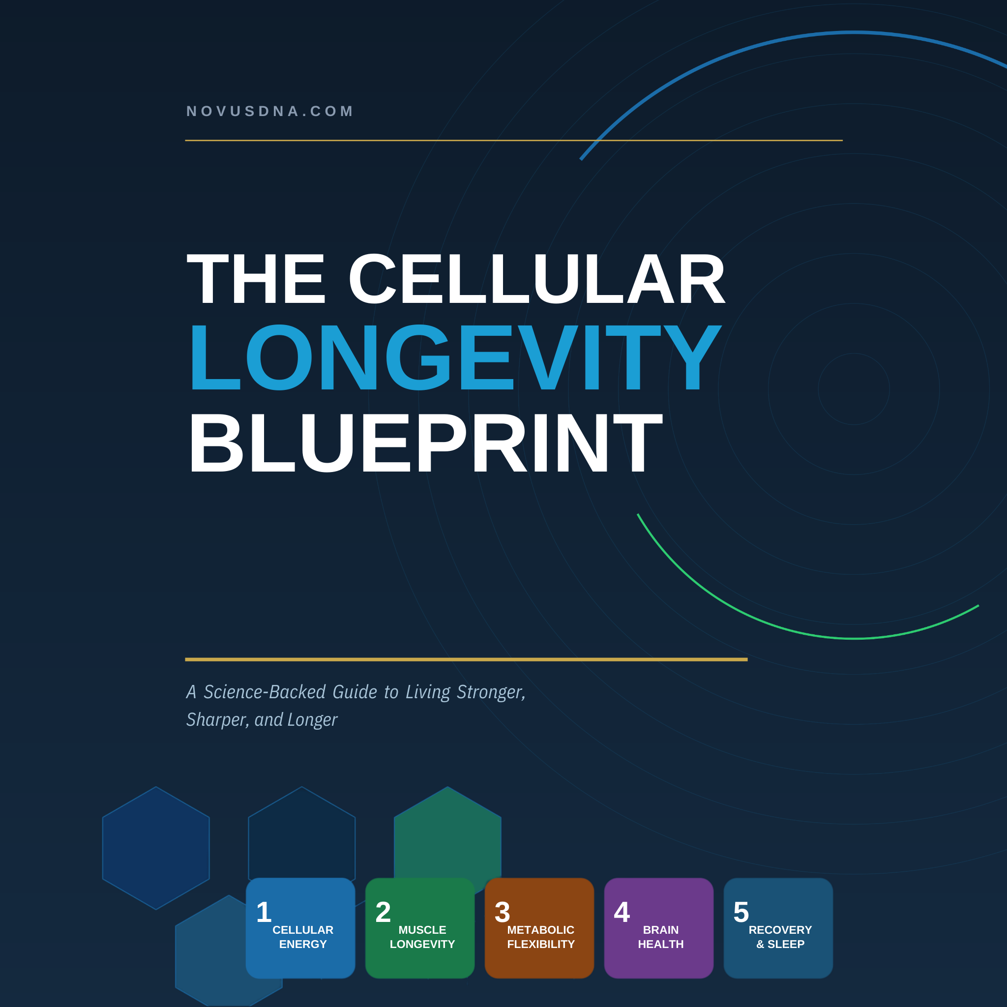 Cellular Longevity Blueprint